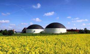 Biogas